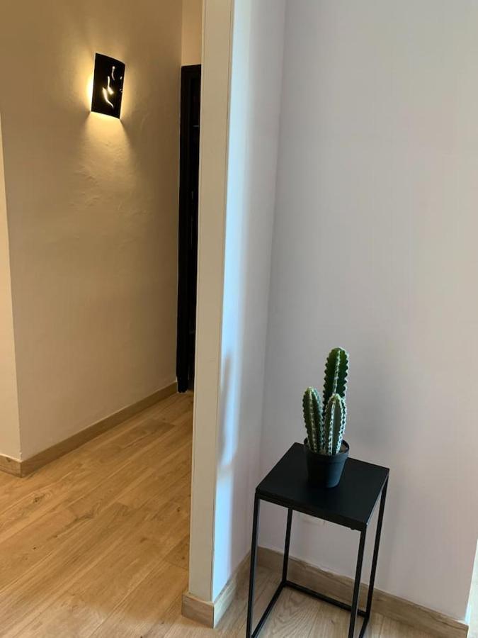Appartement Beau T4 100m2 Palais Des Rois De Majorque