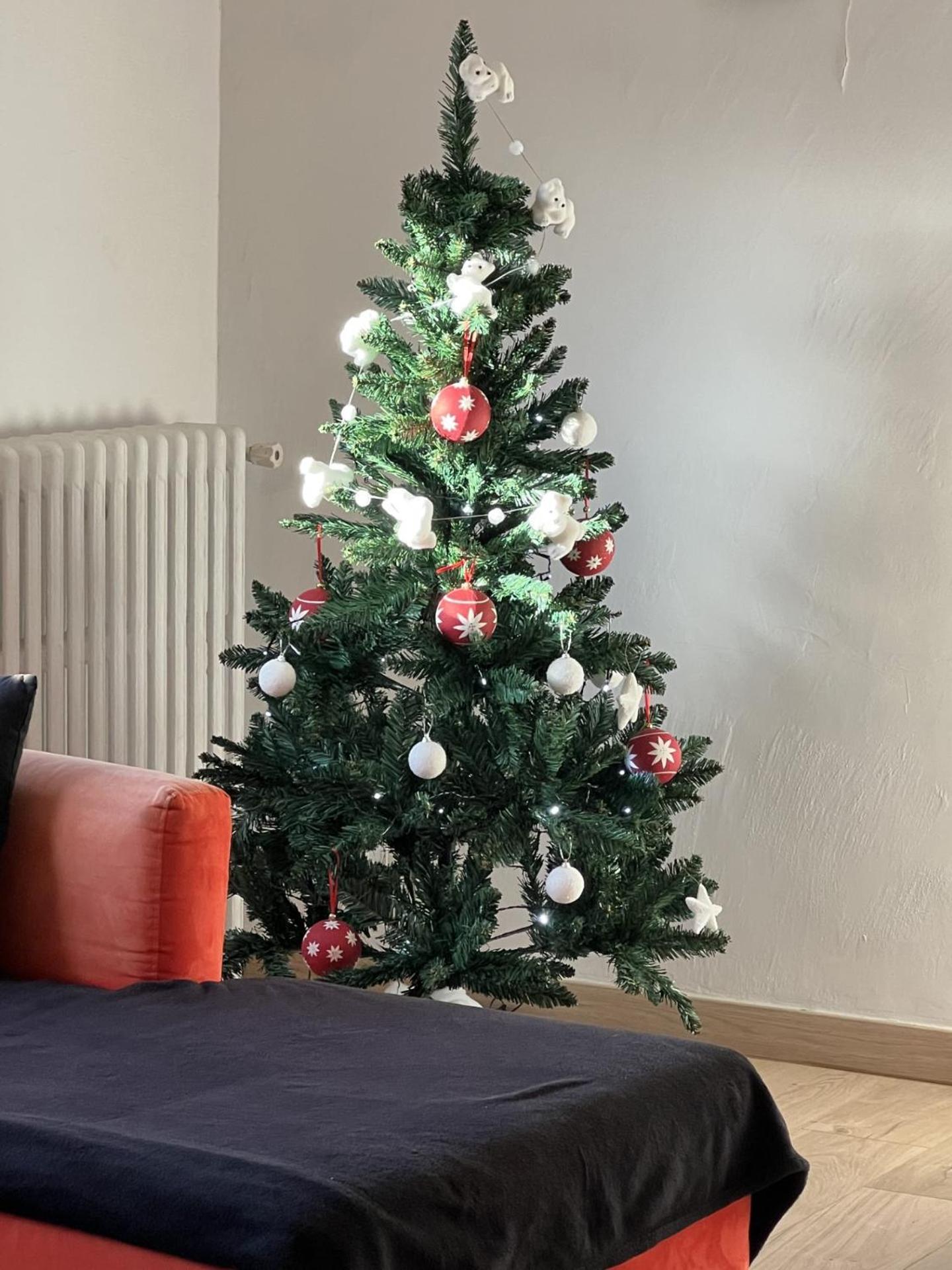 Appartement Beau T4 100m2 Palais Des Rois De Majorque